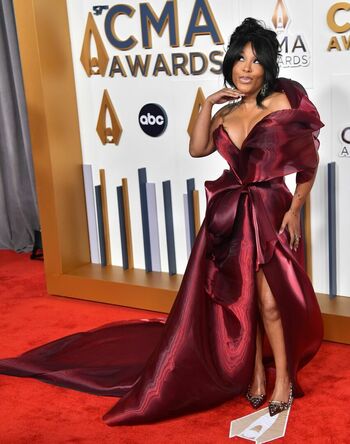 K. Michelle