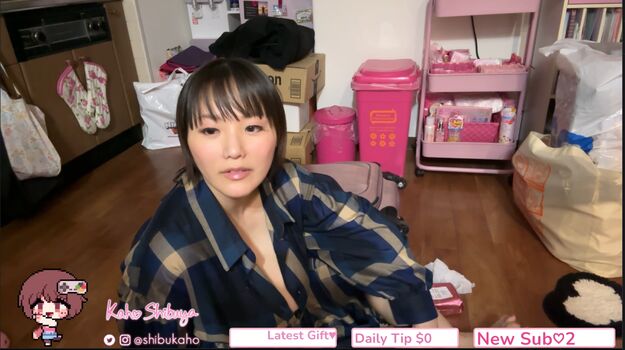 Kaho Shibuya
