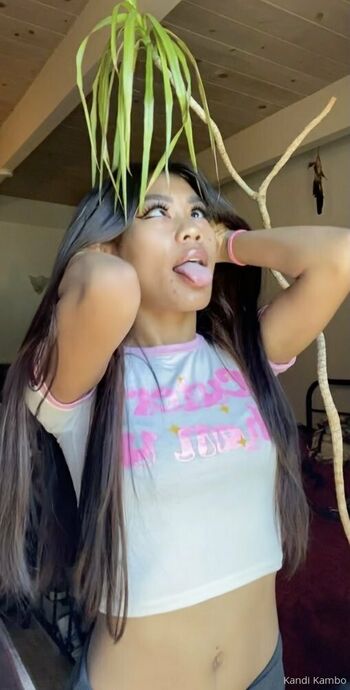 Kandi Kambo
