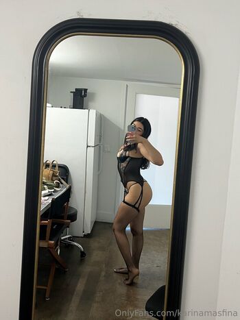 karinamasfina