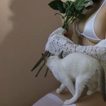 kewlercat