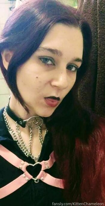 KittenChameleon