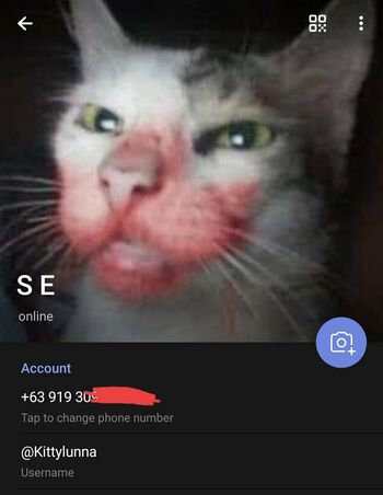 kittylunna