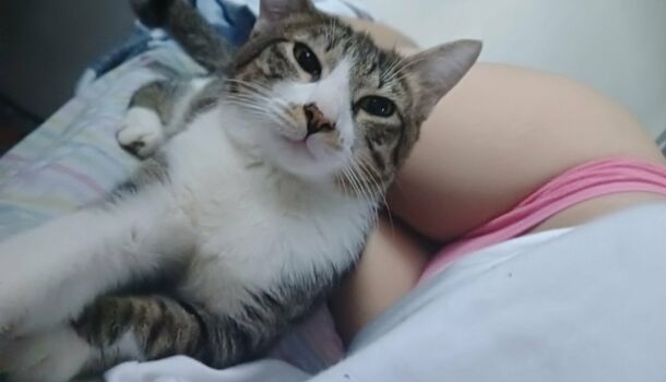 kittylunna