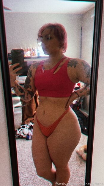 kotathegymrat