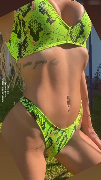 Laaatoxicaa