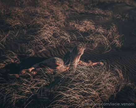 lacie.venom