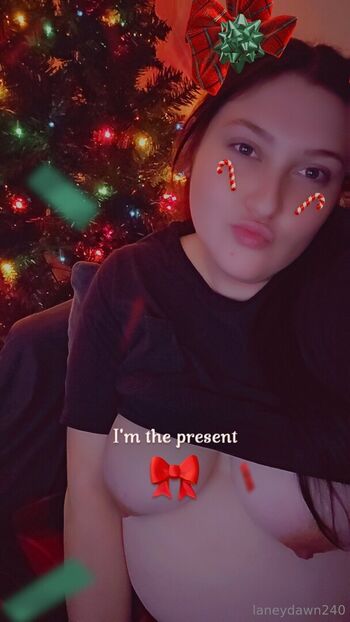 laneydawn240
