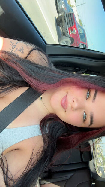 laneyfox