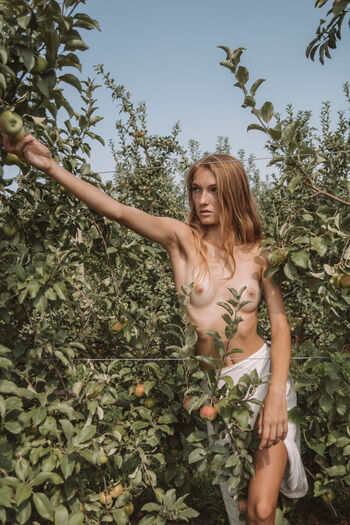 Lauren Hurlbut