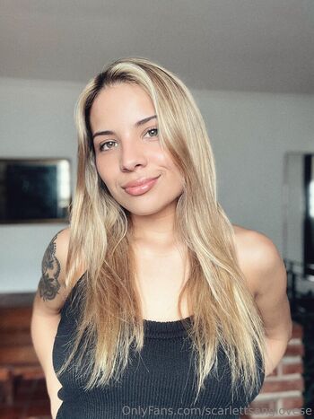 lea_vlmtt