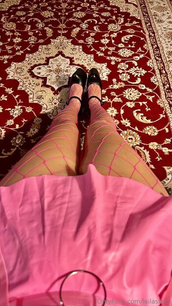 leilasize3