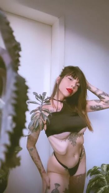 lellycristie