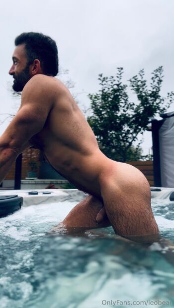leobear