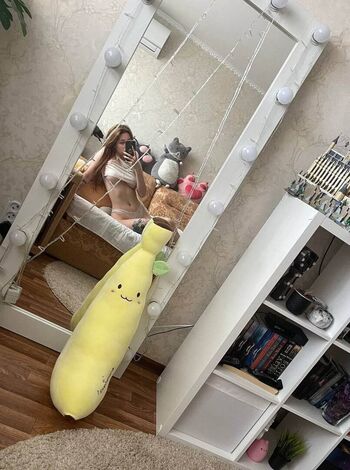 leonesan