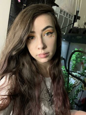 Lexi Lynx