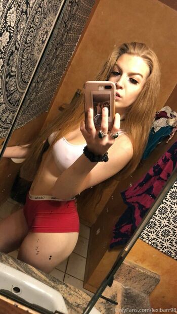 Lexibarr