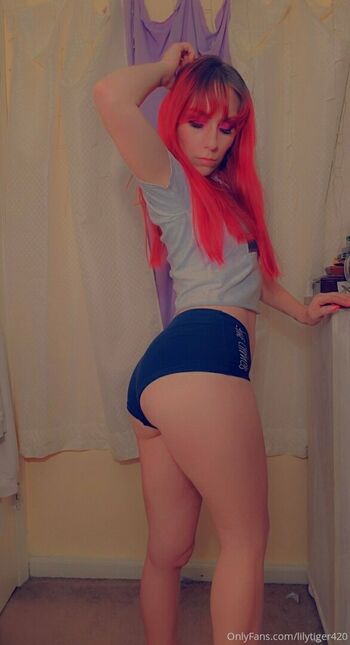 lilytiger420