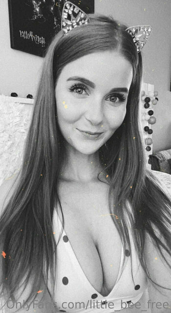 little_bee_free
