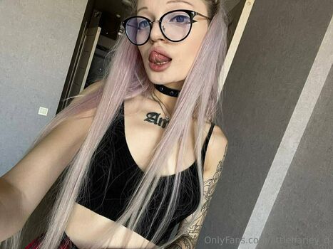 littleharley_q