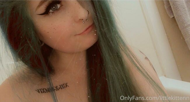 littlekittenn