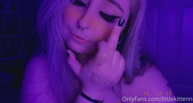 littlekittenn