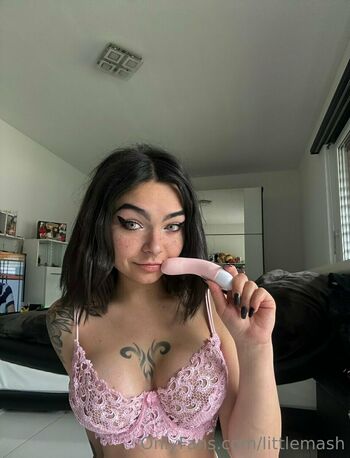 littlemash