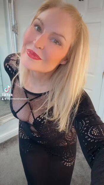 littleminxmodel