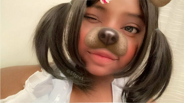 littlepet