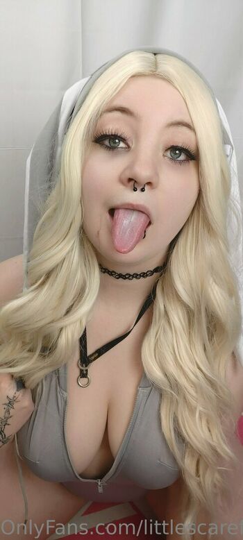 littlescarefox