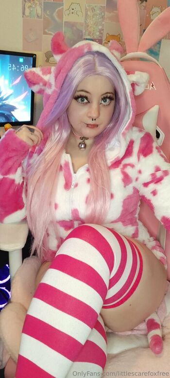 littlescarefoxfree