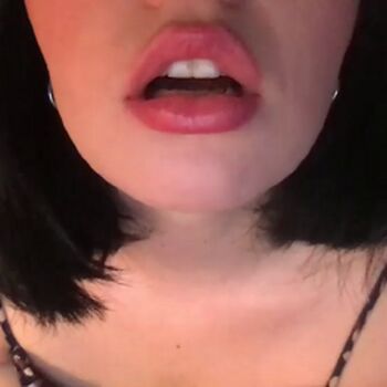 littlesugarpea