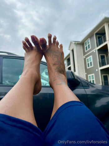 livforsoles