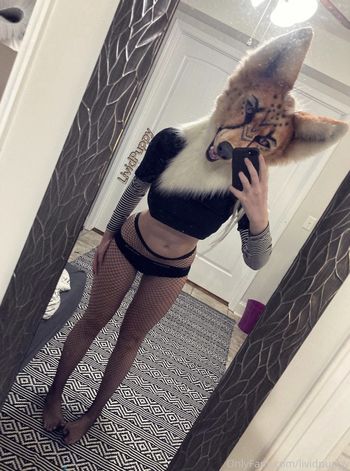 lividpuppy