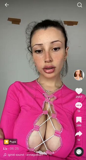 lizsurace