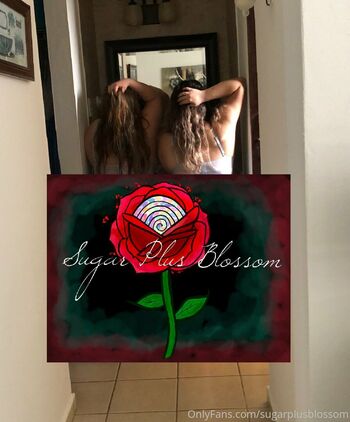 lolliandrose