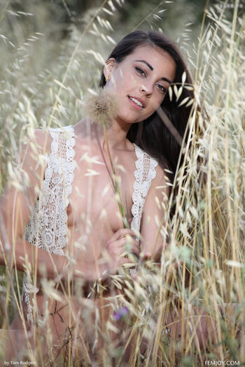 Lorena
