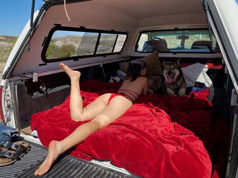 ltl_dog