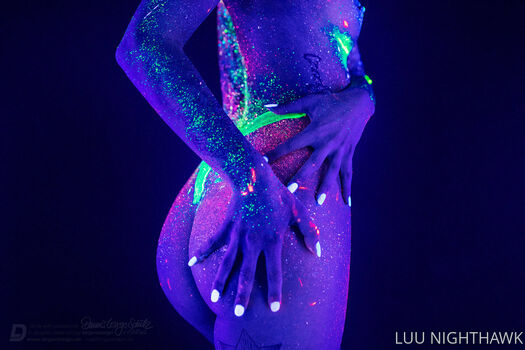 luu_nighthawk
