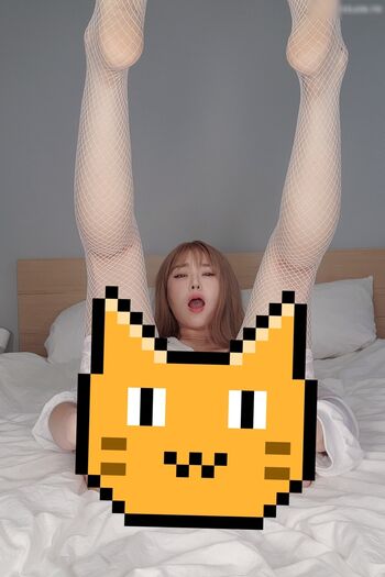 Maple.oh
