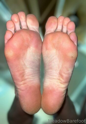 meadowbarefoot