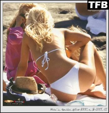 Michelle Hunziker