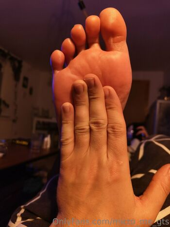 micro_me_gts