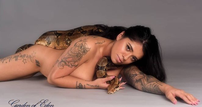 Mikayla Dabash