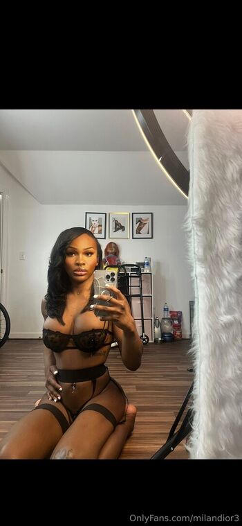 milandior3