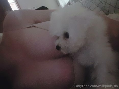 milkpink_sia
