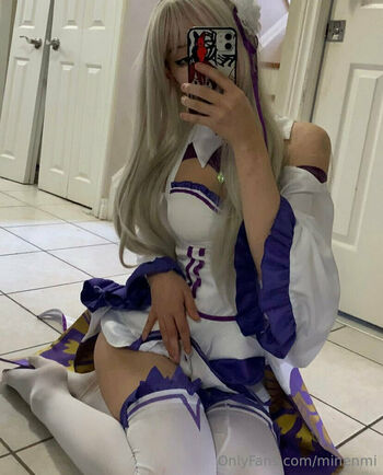 minenmi