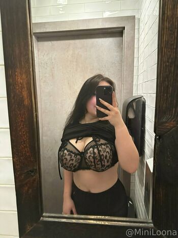 Miniloonaa
