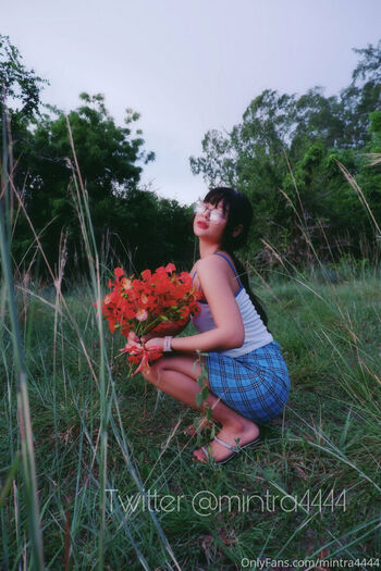 mintra4444