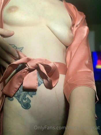 miss_curvycat